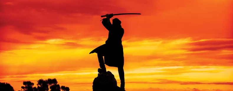 1000x700 ninja 790x310 1 jpg 1