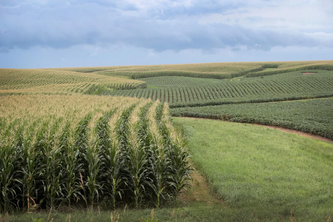 How much does the average American farmer earn per year