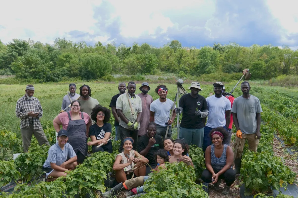 Minority Farming Programs, How many black farmers are there in America , black youth