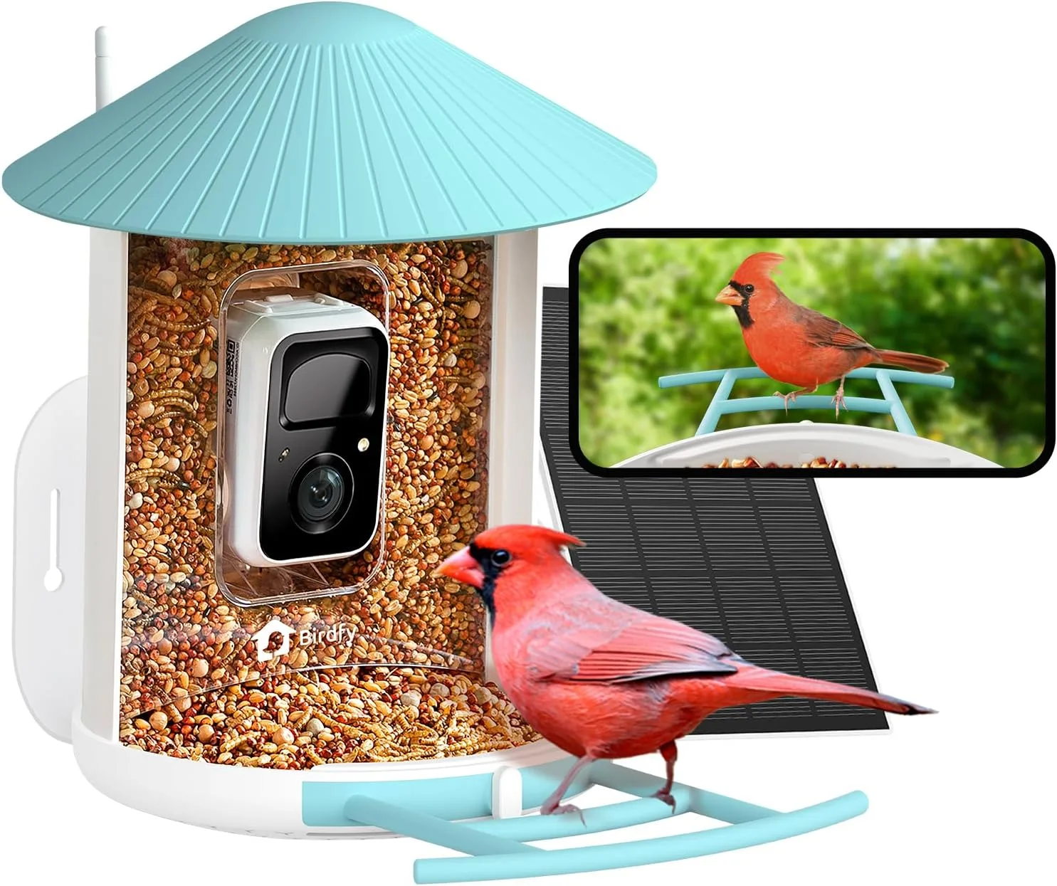 NETVUE Birdfy® Smart Bird Feeder with Camera, Bird Watching Camera, Auto Capture Bird Videos & Motion Detection, Wireless Camera Ideal Present for Bird Lover (Solar Blue)