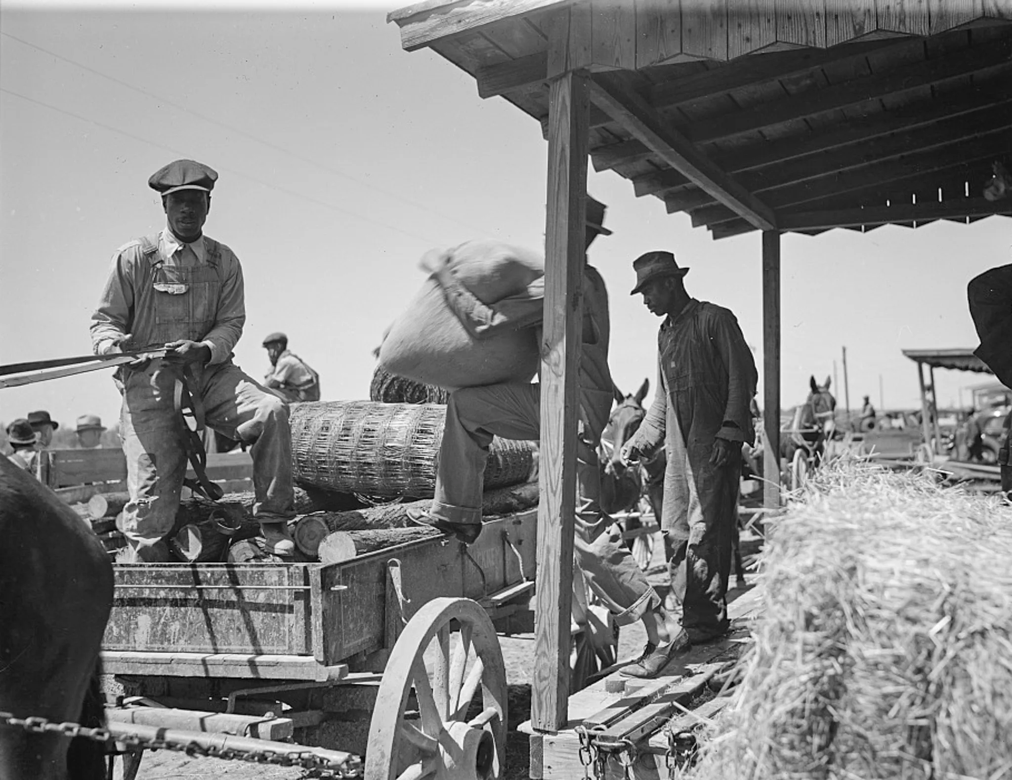 How many black farmers are there in America