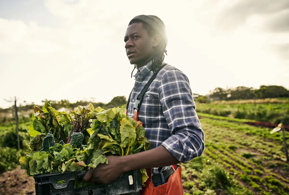 The Decline of Black Farmers