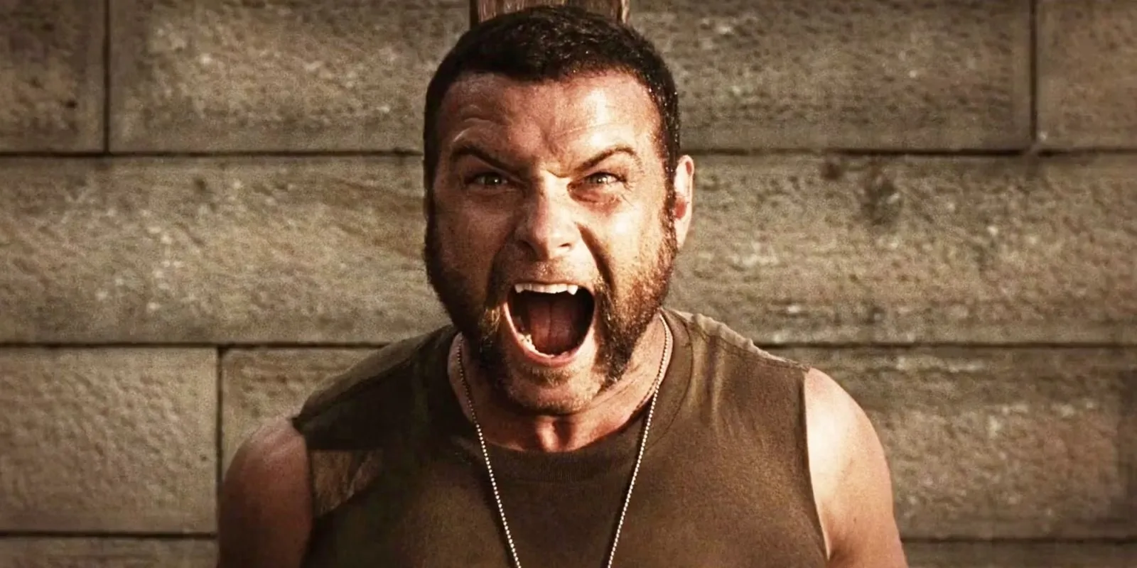 liev schreiber