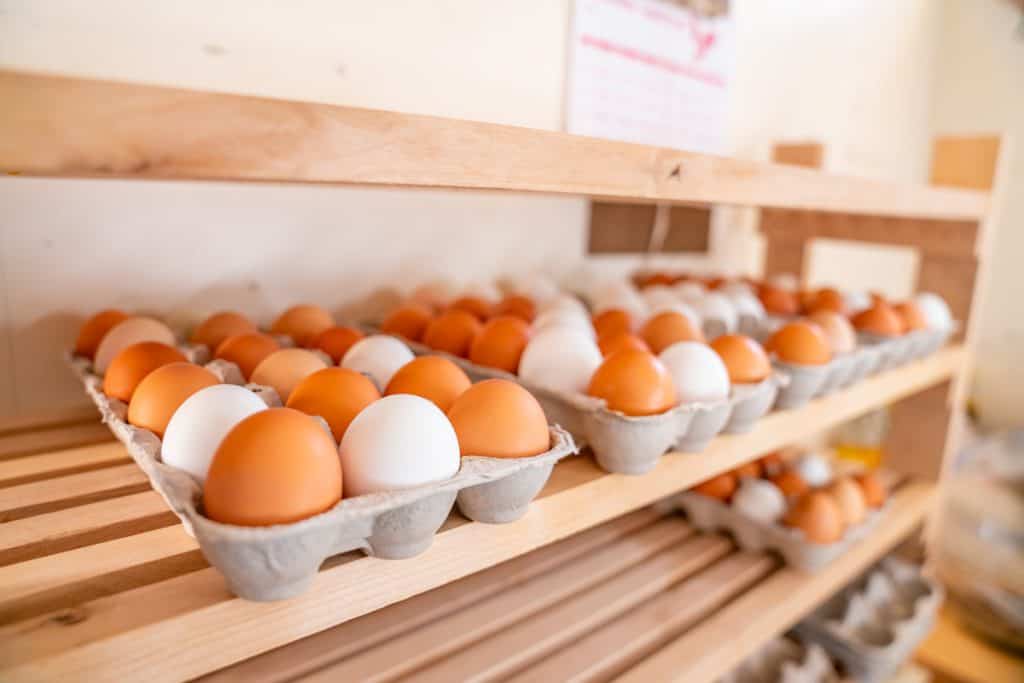 storing, How Long Do Fresh Eggs from the Farm Last?