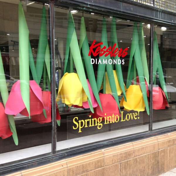 Window Displays, What is the best time to see tulips in Holland Michigan?