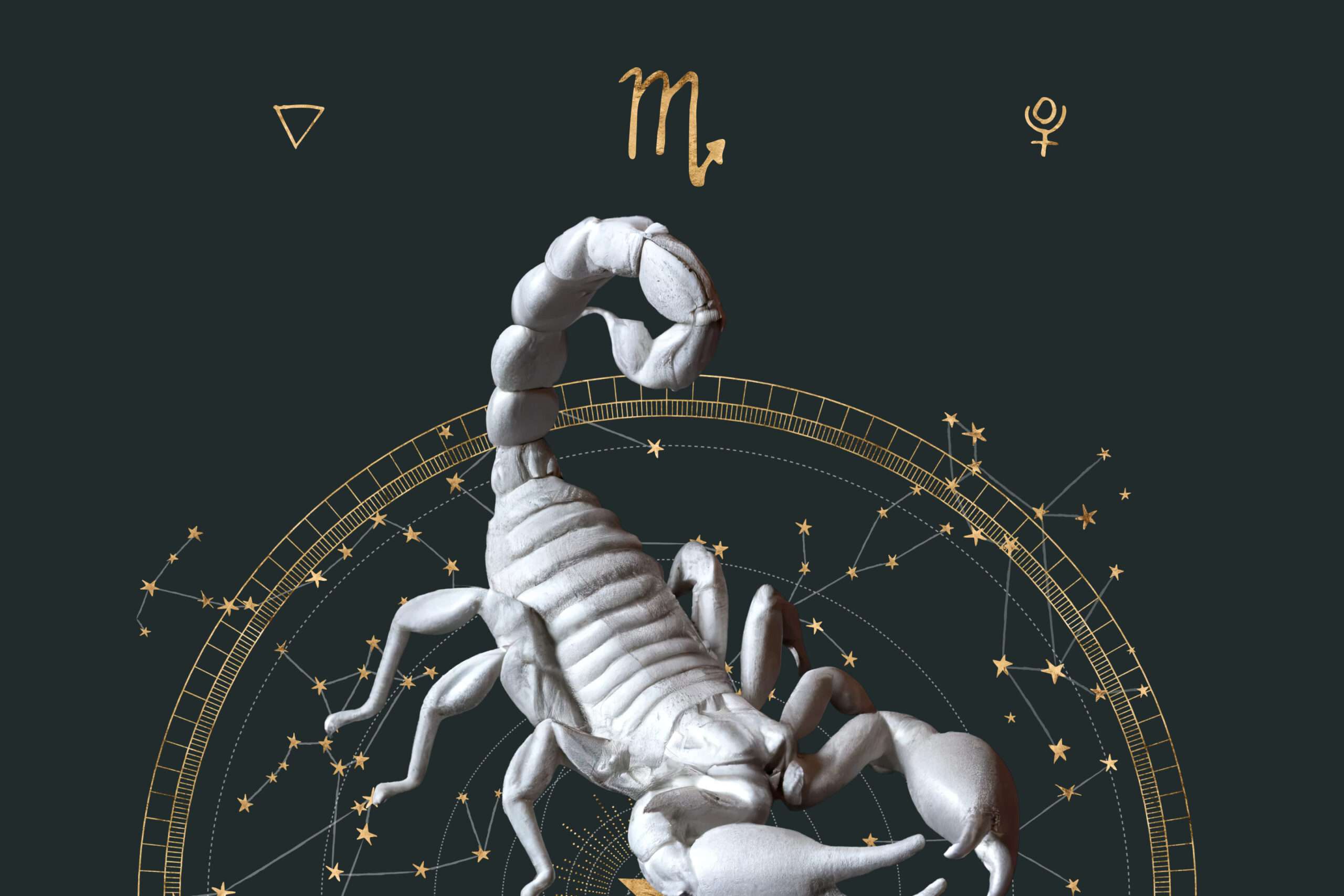 Zodiac Signs Daily Horoscope for 2025