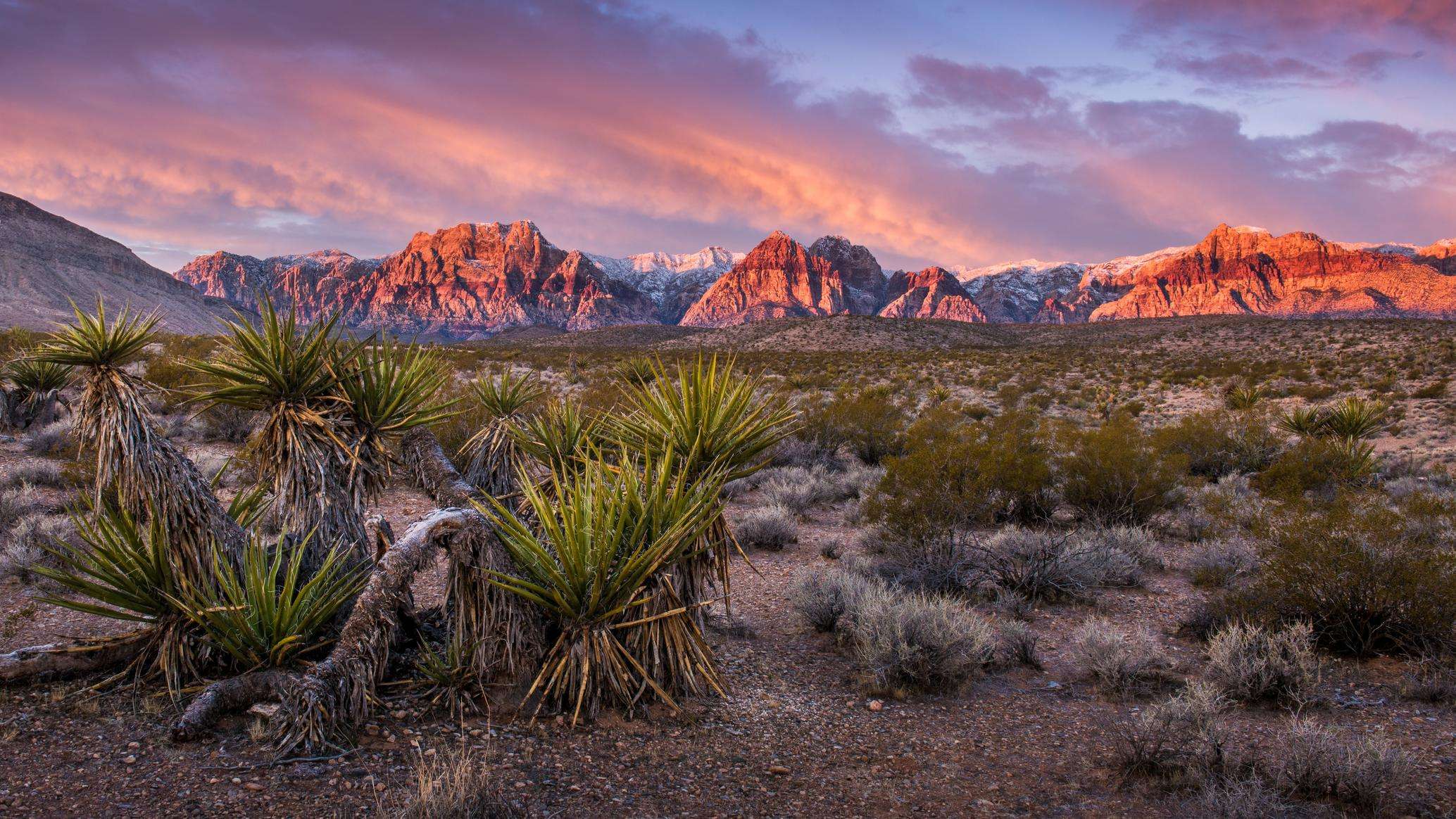 Nevada, USA - Travel Guide | Planet of Hotels