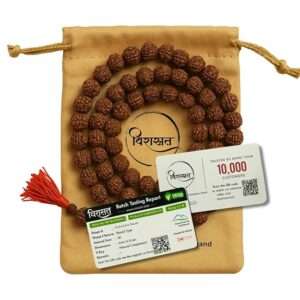 Jitiya Vrat : Date, Significance, Story & Rituals 6 Virasit 5 Mukhi Rudraksha Mala 108 Beads Original Certified | Natural Panchmukhi Rudraksha Japa Mala for Men & Women | Jaap Mala for Meditation, Shiv Puja, Yoga, Prayer, Chanting | 6mm Size