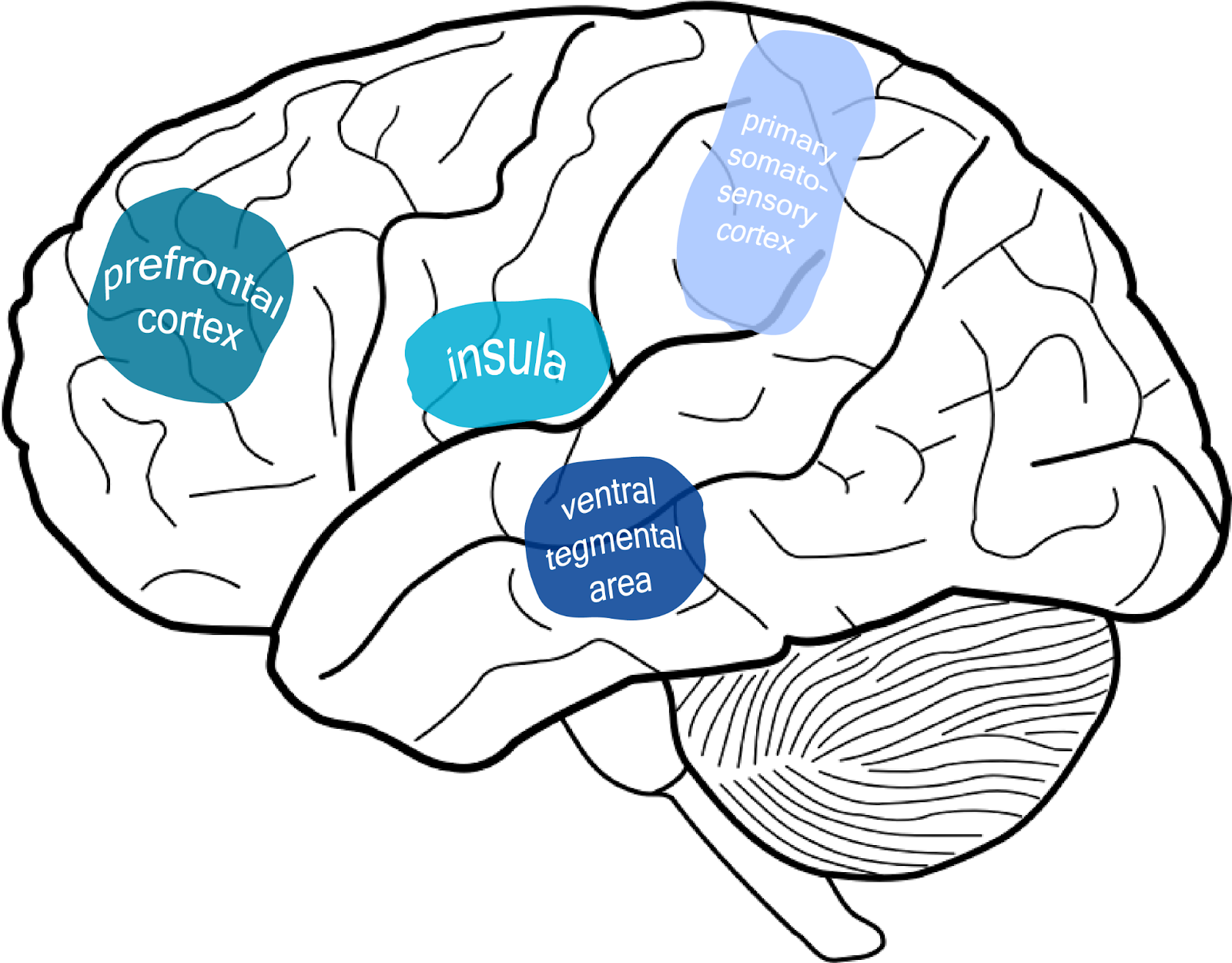 What Is Sensory Processing Sensitivity (SPS)?