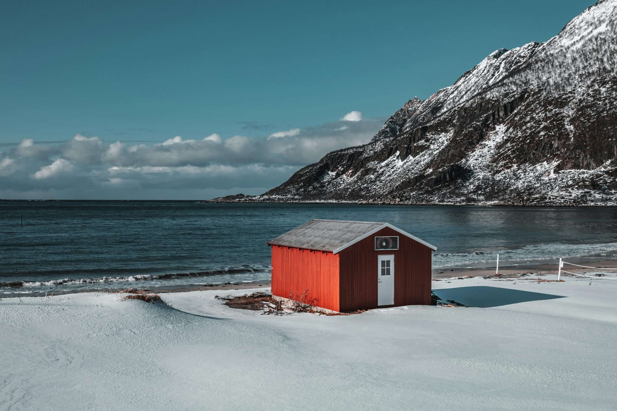 10 Fascinating Facts About the Arctic You Need to Know
