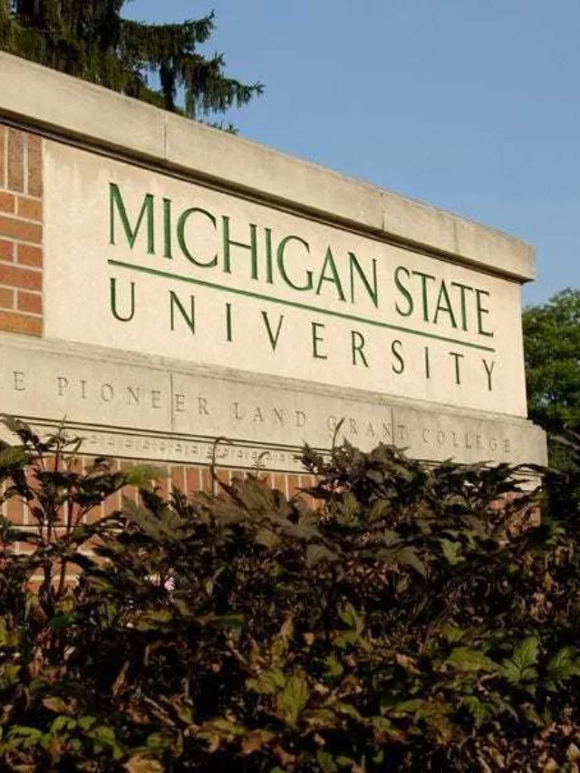 “Empowering Lives: Michigan’s Innovative Program Driving Self-Sufficiency and Higher Wages”