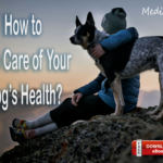 On National Dog Day learn How to Take Care of Your Dog’s Health -[Download Free eBook]