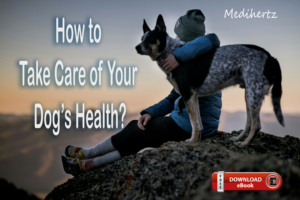 On National Dog Day learn How to Take Care of Your Dog’s Health -[Download Free eBook]