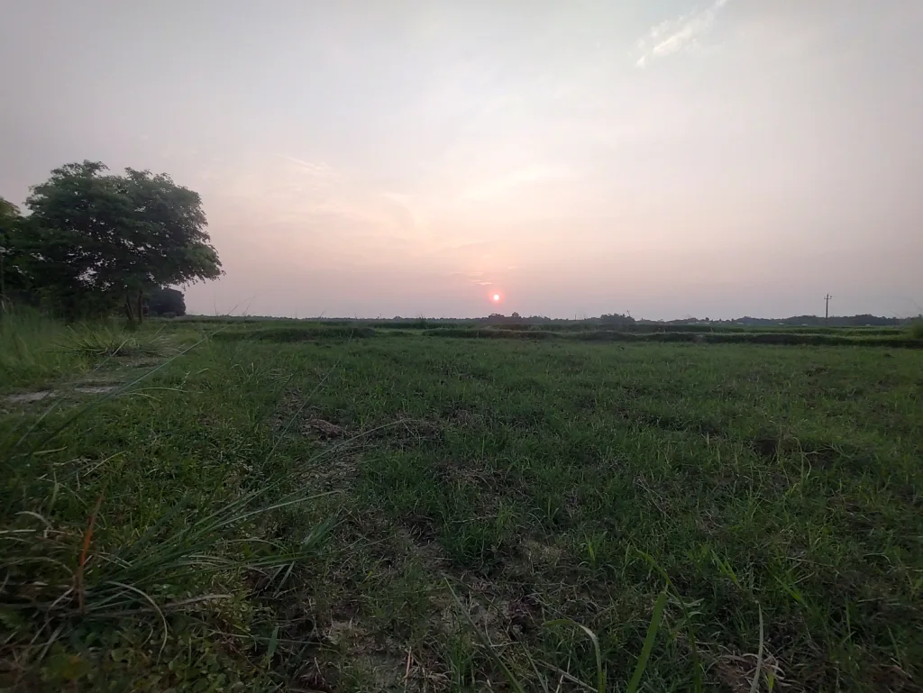 Village FARM, Green grass, Sunset, Sunrise Farm Land.jpg