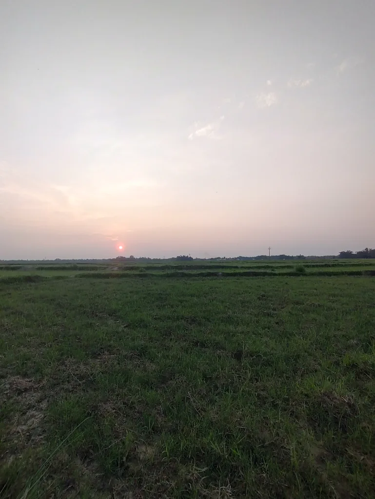 Village FARM, Green grass, Sunset, Sunrise Farm Land.jpg