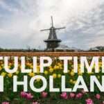 What is the best time to see tulips in Holland Michigan?