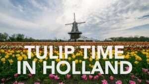 What is the best time to see tulips in Holland Michigan?