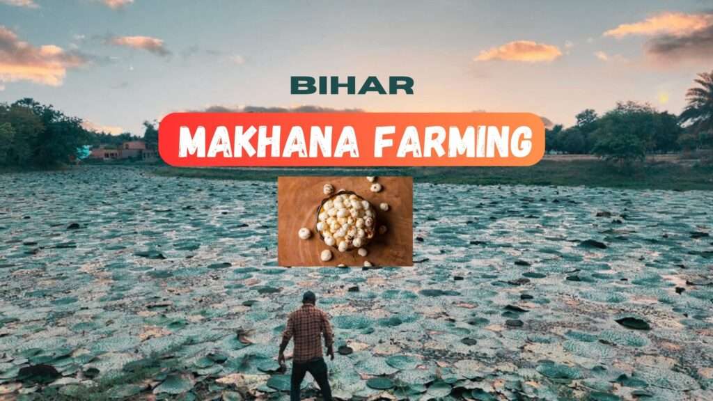 makhana