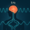 What Happens to Your Brain at 5 Hz Frequency? (Clear & Simple Explanation)